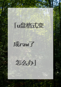 u盘格式变成raw了 怎么办