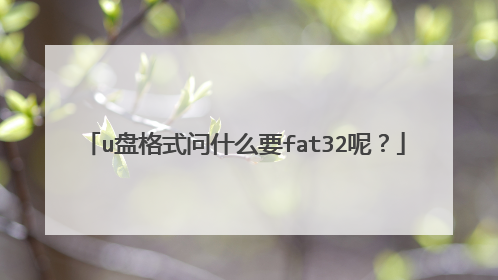 u盘格式问什么要fat32呢？