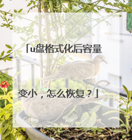 u盘格式化后容量变小，怎么恢复？