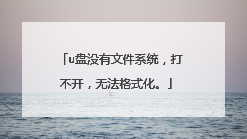 u盘没有文件系统，打不开，无法格式化。