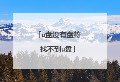 u盘没有盘符 找不到u盘