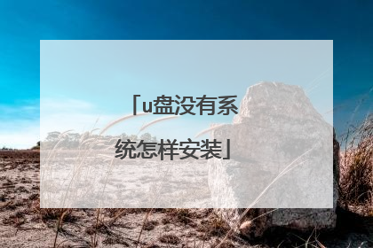 u盘没有系统怎样安装