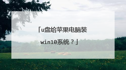 u盘给苹果电脑装win10系统?
