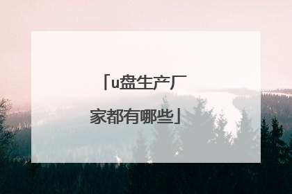 u盘生产厂家都有哪些