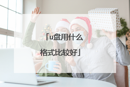 u盘用什么格式比较好