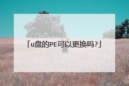 u盘的PE可以更换吗?