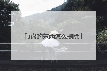 u盘的东西怎么删除