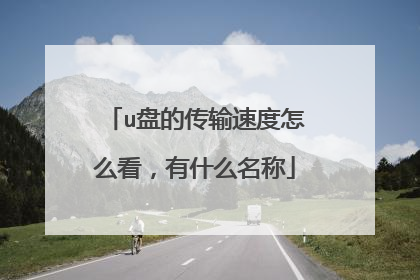u盘的传输速度怎么看,有什么名称