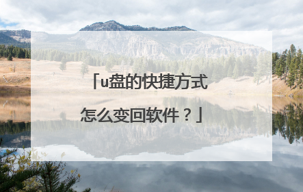 u盘的快捷方式怎么变回软件?