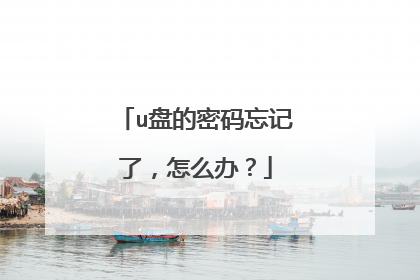 u盘的密码忘记了,怎么办?