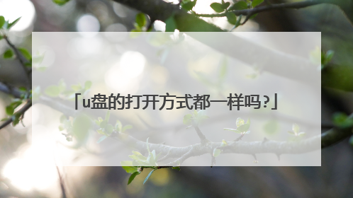 u盘的打开方式都一样吗?