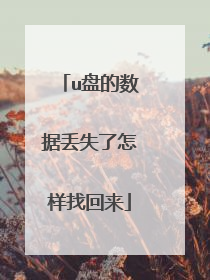 u盘的数据丢失了怎样找回来