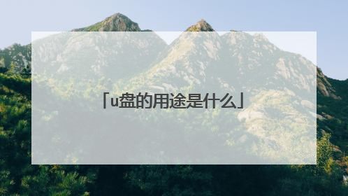 u盘的用途是什么