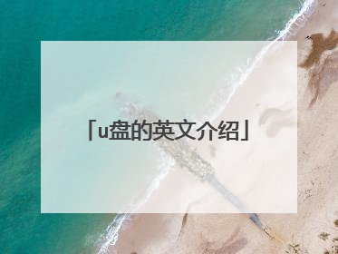 u盘的英文介绍