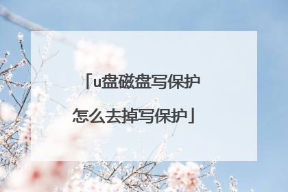 u盘磁盘写保护怎么去掉写保护
