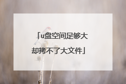 u盘空间足够大却拷不了大文件