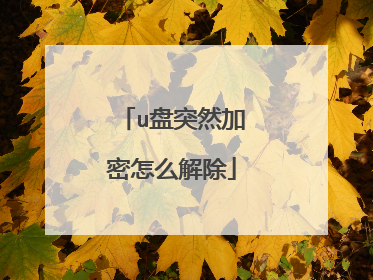 u盘突然加密怎么解除