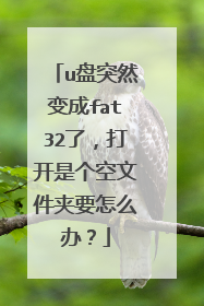 u盘突然变成fat32了,打开是个空文件夹要怎么办?