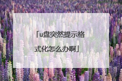 u盘突然提示格式化怎么办啊