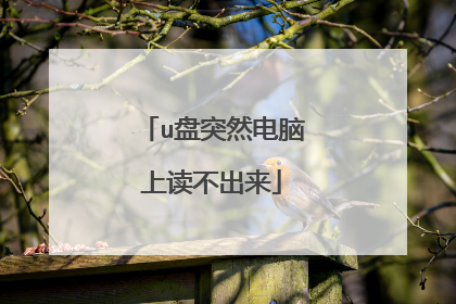 u盘突然电脑上读不出来