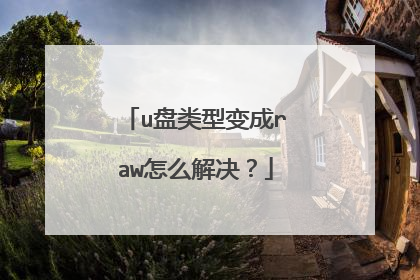 u盘类型变成raw怎么解决?