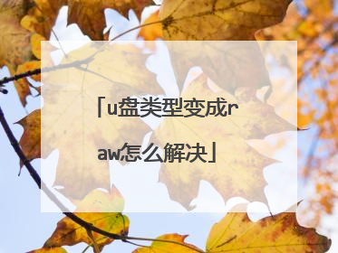 u盘类型变成raw怎么解决