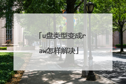 u盘类型变成raw怎样解决