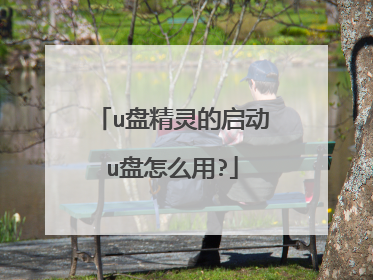 u盘精灵的启动u盘怎么用?