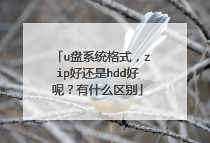 u盘系统格式，zip好还是hdd好呢？有什么区别