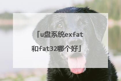 u盘系统exfat和fat32哪个好