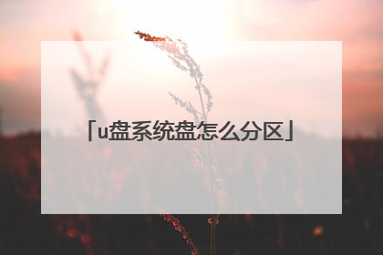 u盘系统盘怎么分区