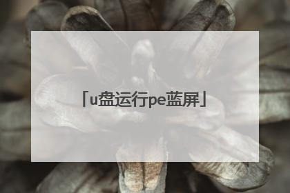 u盘运行pe蓝屏