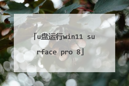 u盘运行win11 surface pro 8
