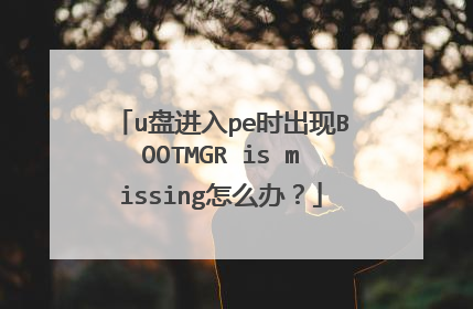 u盘进入pe时出现BOOTMGR is missing怎么办？