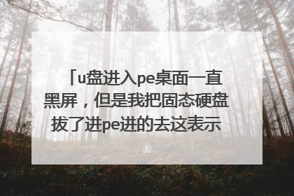 u盘进入pe桌面一直黑屏，但是我把固态硬盘拔了进pe进的去这表示我的硬盘坏了吗？但是读的起容量啊！