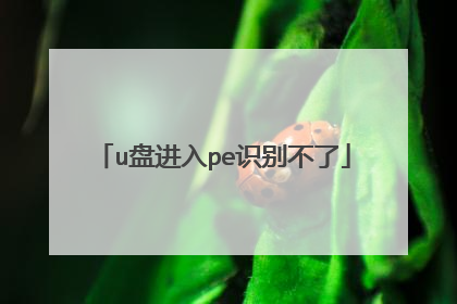 u盘进入pe识别不了