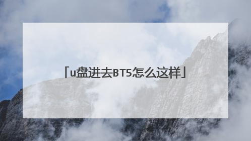 u盘进去BT5怎么这样