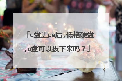 u盘进pe后,低格硬盘,u盘可以拔下来吗?
