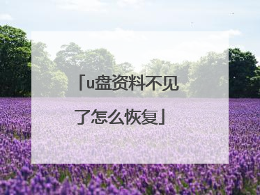 u盘资料不见了怎么恢复