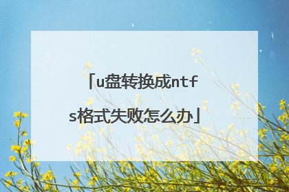 u盘转换成ntfs格式失败怎么办