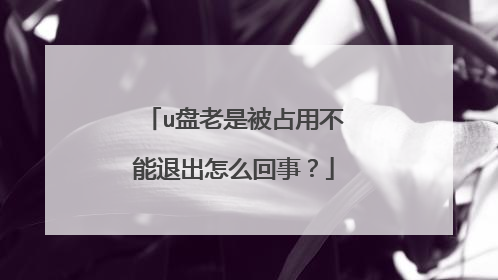 u盘老是被占用不能退出怎么回事?