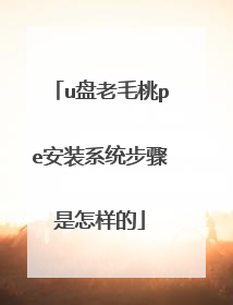 u盘老毛桃pe安装系统步骤是怎样的