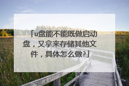 u盘能不能既做启动盘，又拿来存储其他文件，具体怎么做?