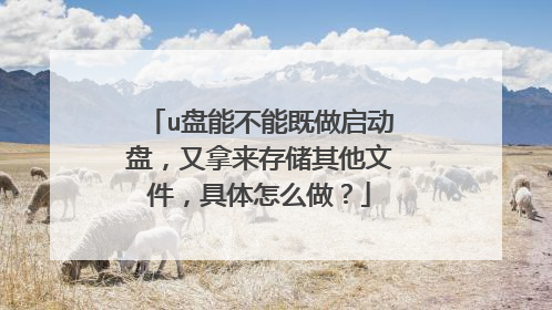 u盘能不能既做启动盘，又拿来存储其他文件，具体怎么做？