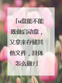 u盘能不能既做启动盘，又拿来存储其他文件，具体怎么做?