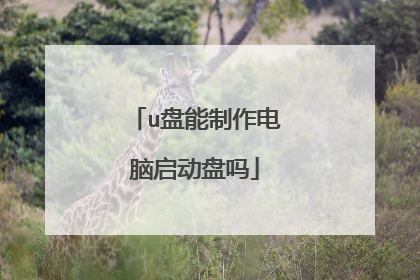 u盘能制作电脑启动盘吗