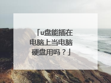 u盘能插在电脑上当电脑硬盘用吗?
