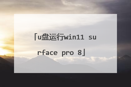 u盘运行win11 surface pro 8
