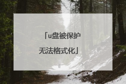 u盘被保护无法格式化