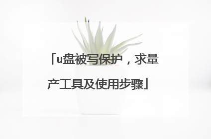 u盘被写保护,求量产工具及使用步骤